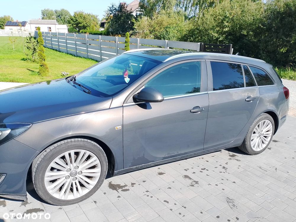 Opel Insignia 2.0 CDTI EcoFLEX S&S - 14