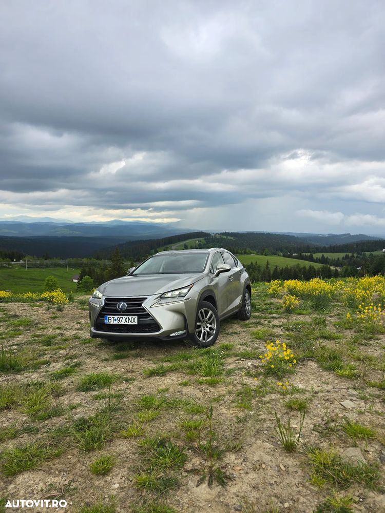 Lexus Seria NX 200t AWD Luxury - 2