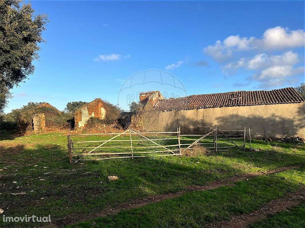 Quinta T4 para venda - Grande imagem: 2/8