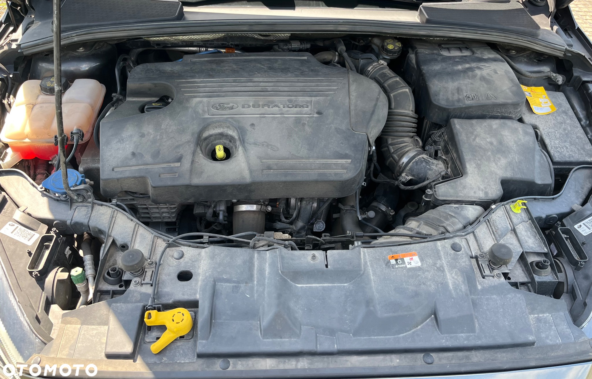 Ford Focus 2.0 TDCi Black Edition ASS - 15
