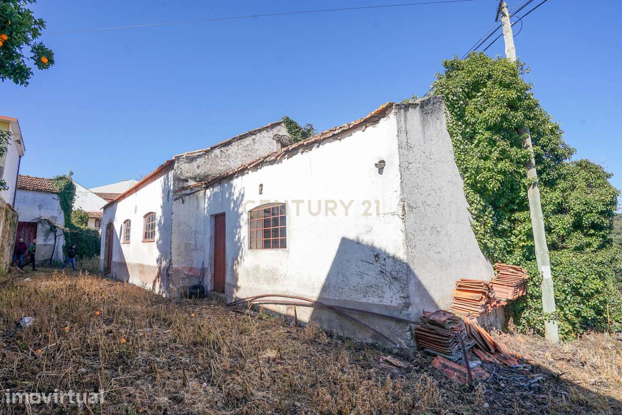 Quinta com lagar, telheiro, pátio, arrumos, terreno e poço numa locali - Grande imagem: 2/24