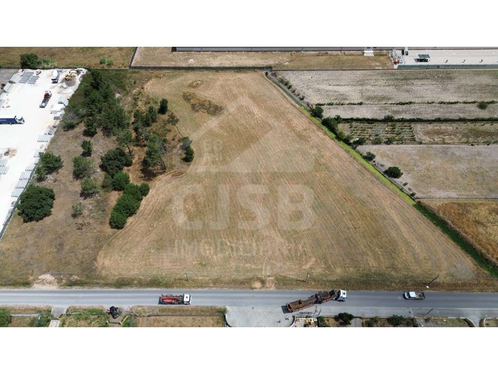 Terreno Industrial em Benavente - Grande imagem: 2/13