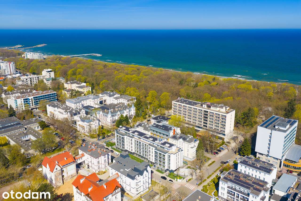 Bivalvi | apartament 2-pok. | 36,25 m² | 403