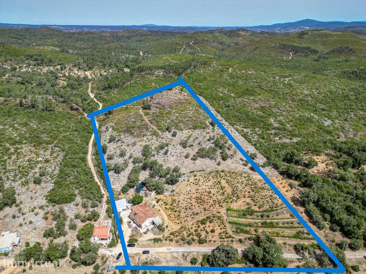 Propriedade Rural  de 36800m2 com habitação e produção de vinho e azei - Grande imagem: 3/59