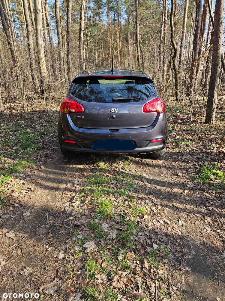 Kia Ceed 1.4 CVVT Fifa World Cup Edition - 11