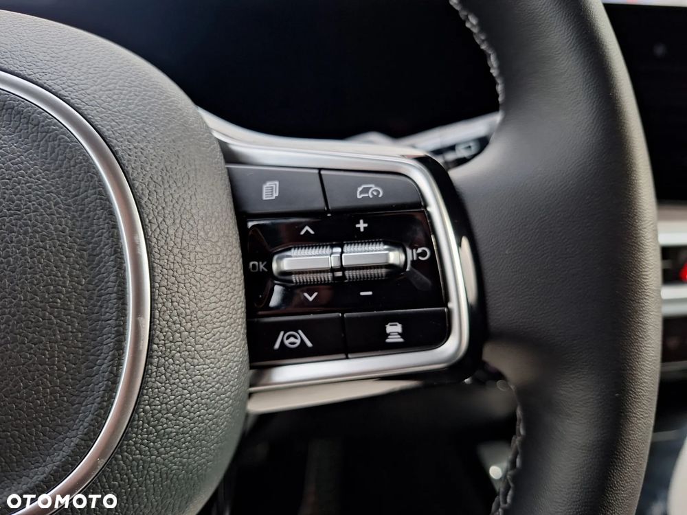 Kia Sorento - 17