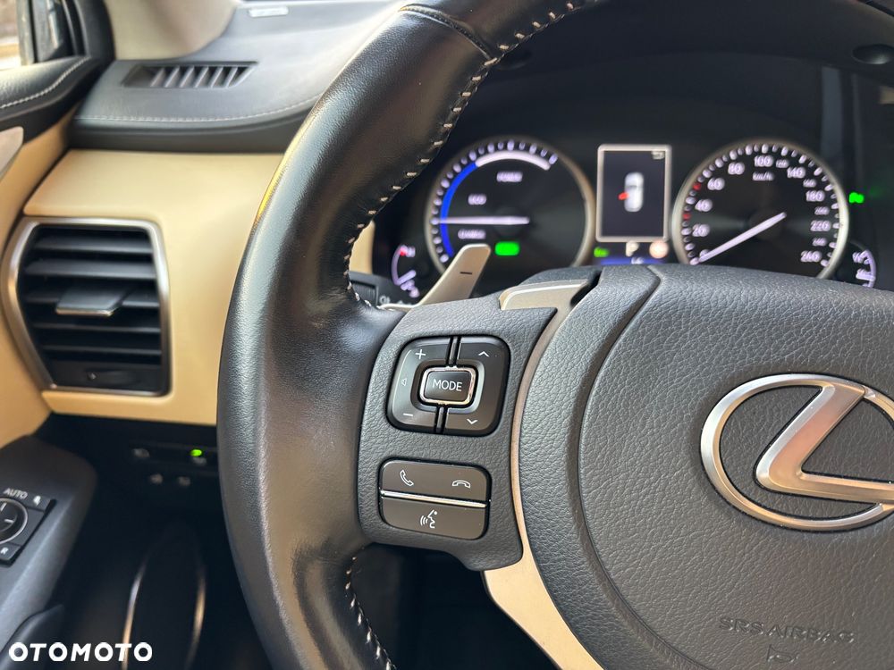 Lexus NX 300h Omotenashi AWD - 17