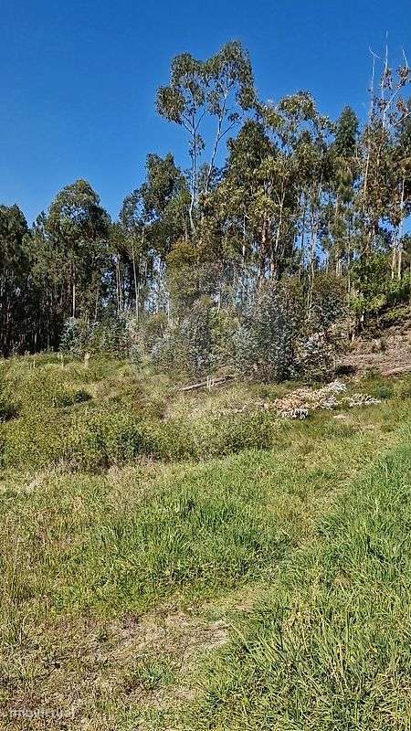 Terreno  para venda - Grande imagem: 4/4