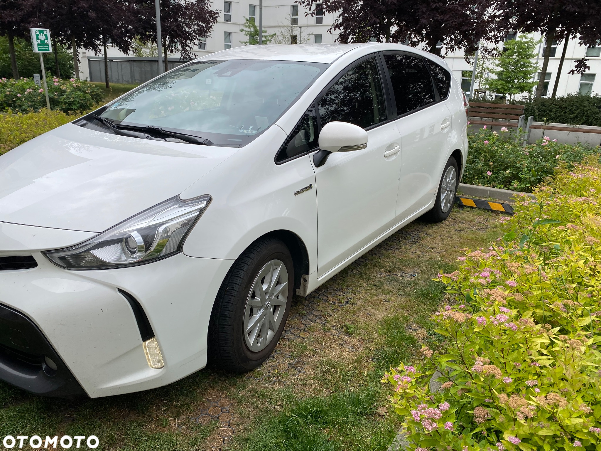 Toyota Prius+ (Hybrid) Comfort - 12