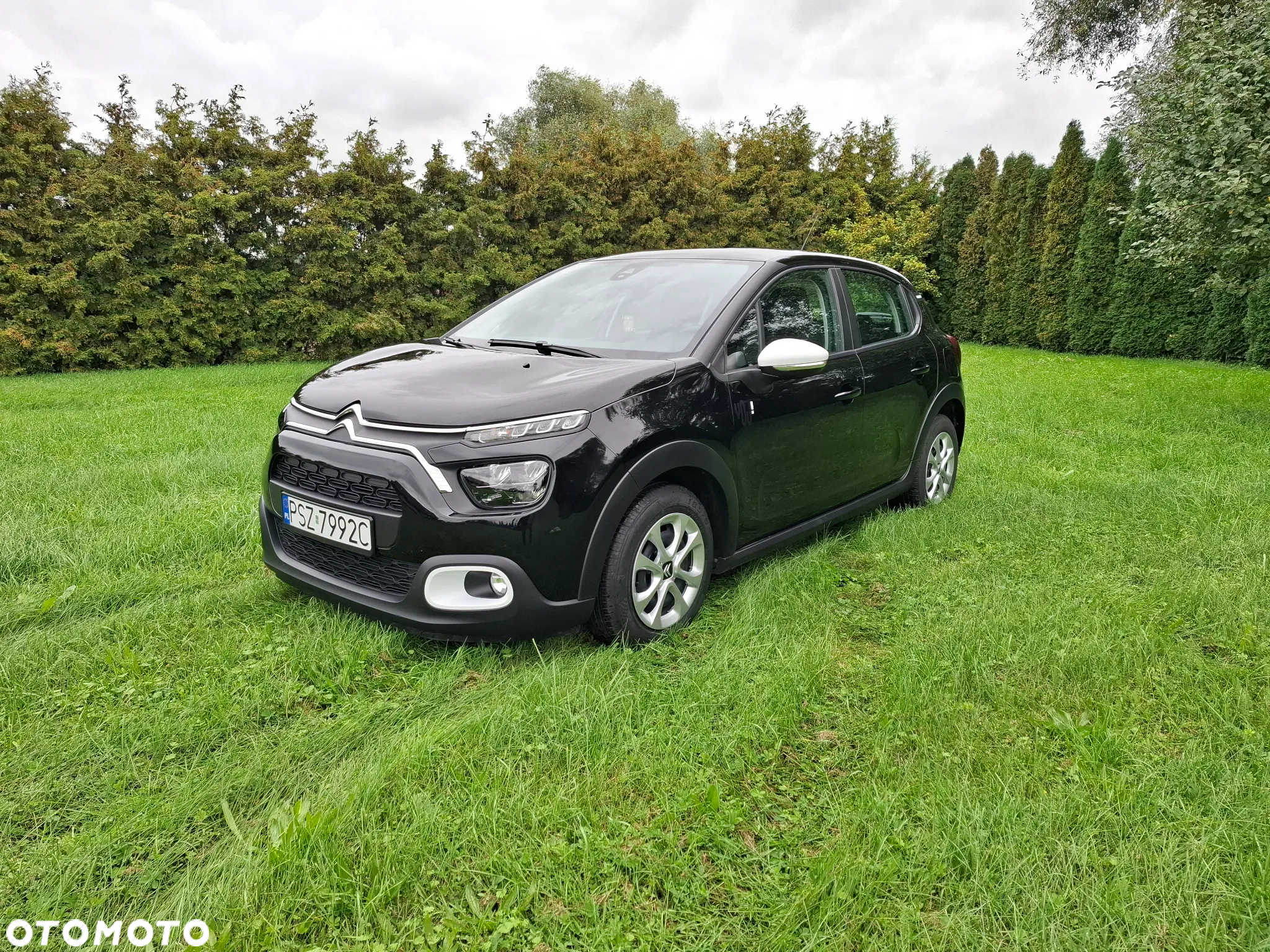 Citroën C3 1.2 PureTech You - 2