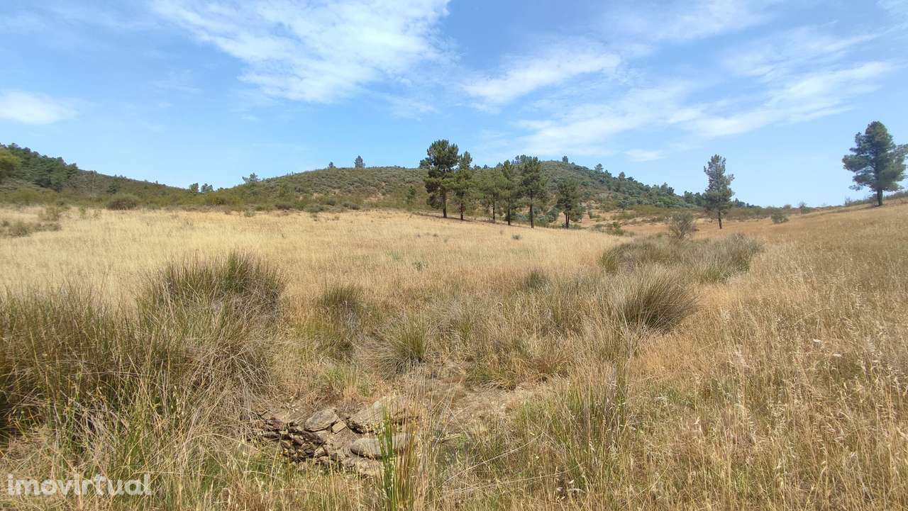 Terreno Rústico com 3,2 ha, Cebolais de Cima - Grande imagem: 5/6