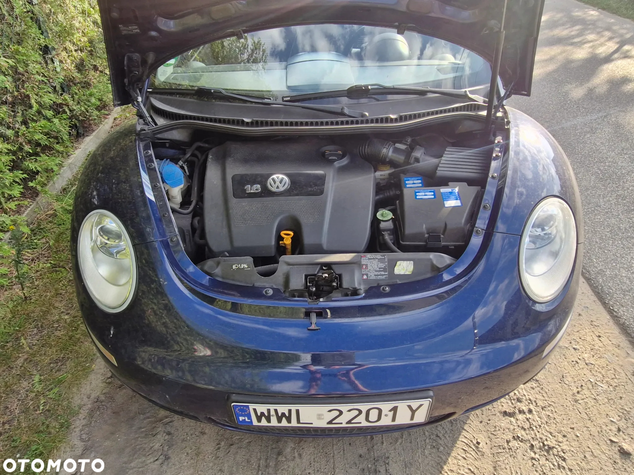 Volkswagen New Beetle Cabriolet 1.6 United - 10