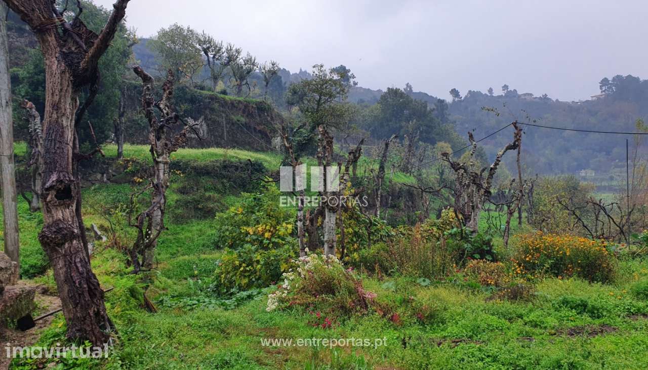 Venda de Terreno com 20500m2, Soalhães, Marco de Canaveses - Grande imagem: 4/30