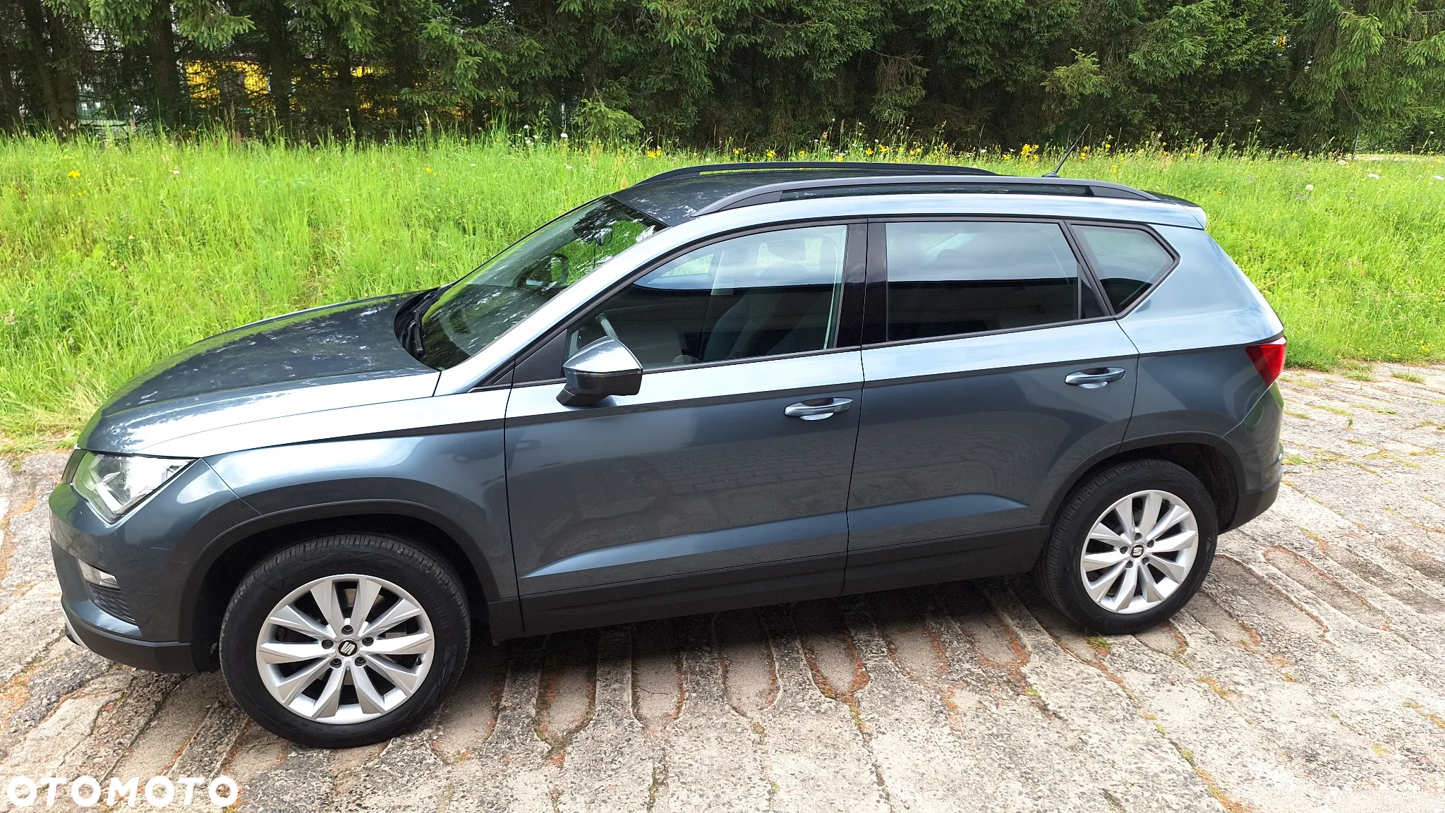 Seat Ateca 1.6 TDI Ecomotive Style S&S - 2