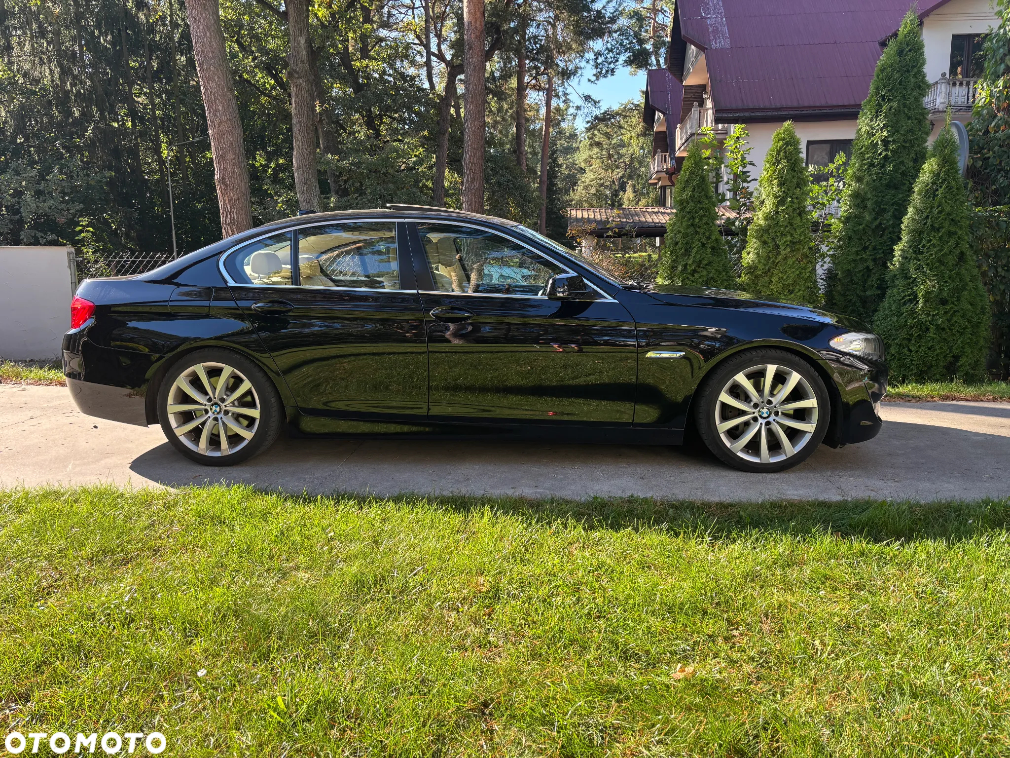 BMW Seria 5 530d xDrive - 9