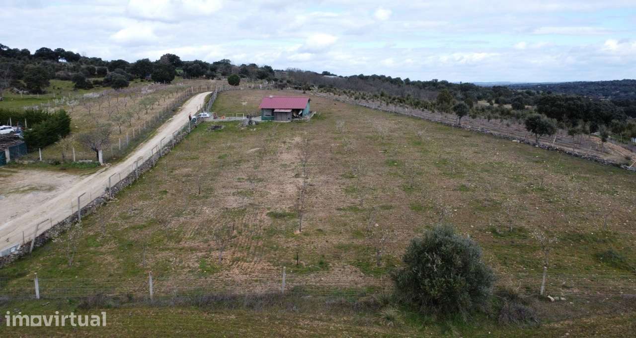 Terreno com arvores de fruto e uma construção, em Miranda do Douro. - Grande imagem: 5/35