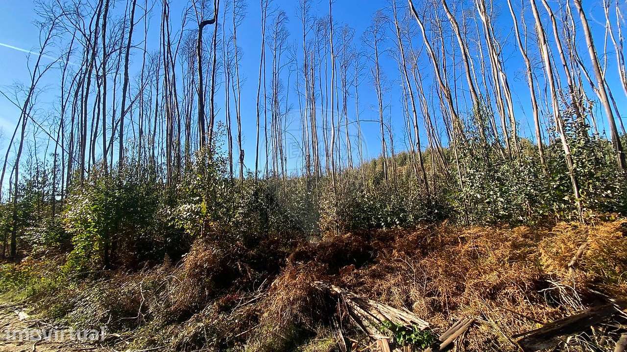 Terreno  para venda - Grande imagem: 4/10