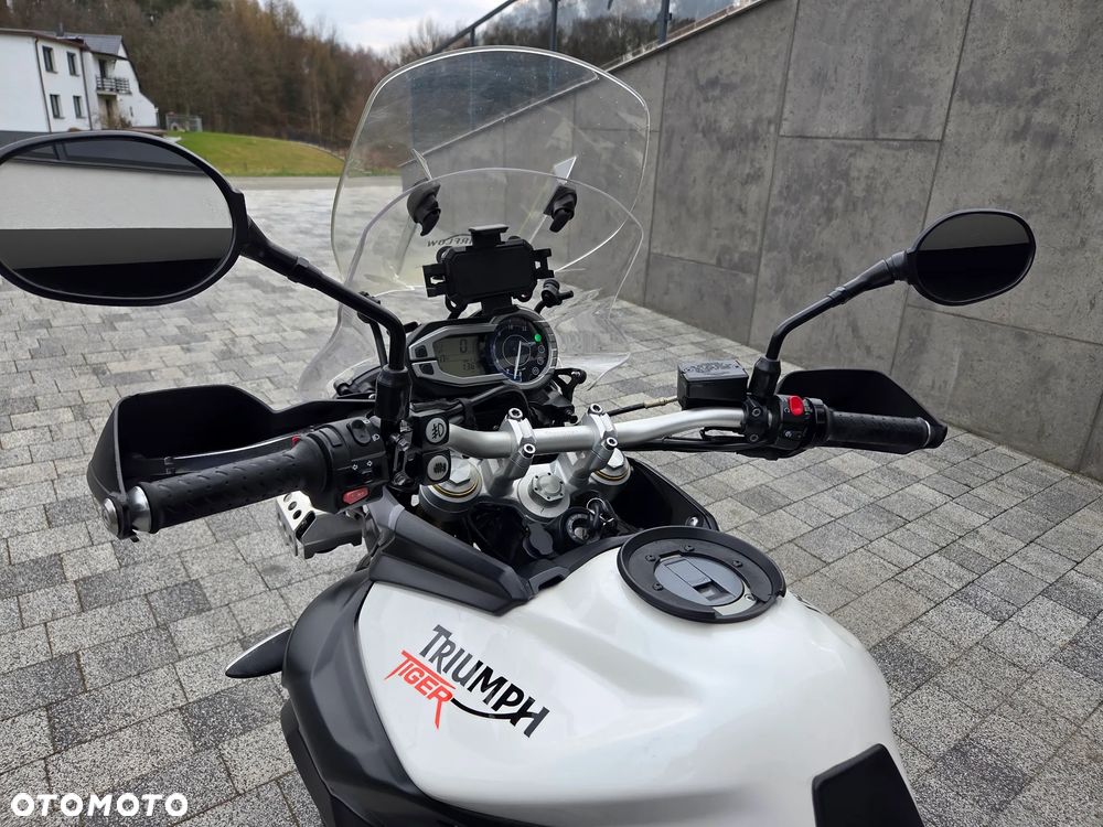 Triumph Tiger - 9