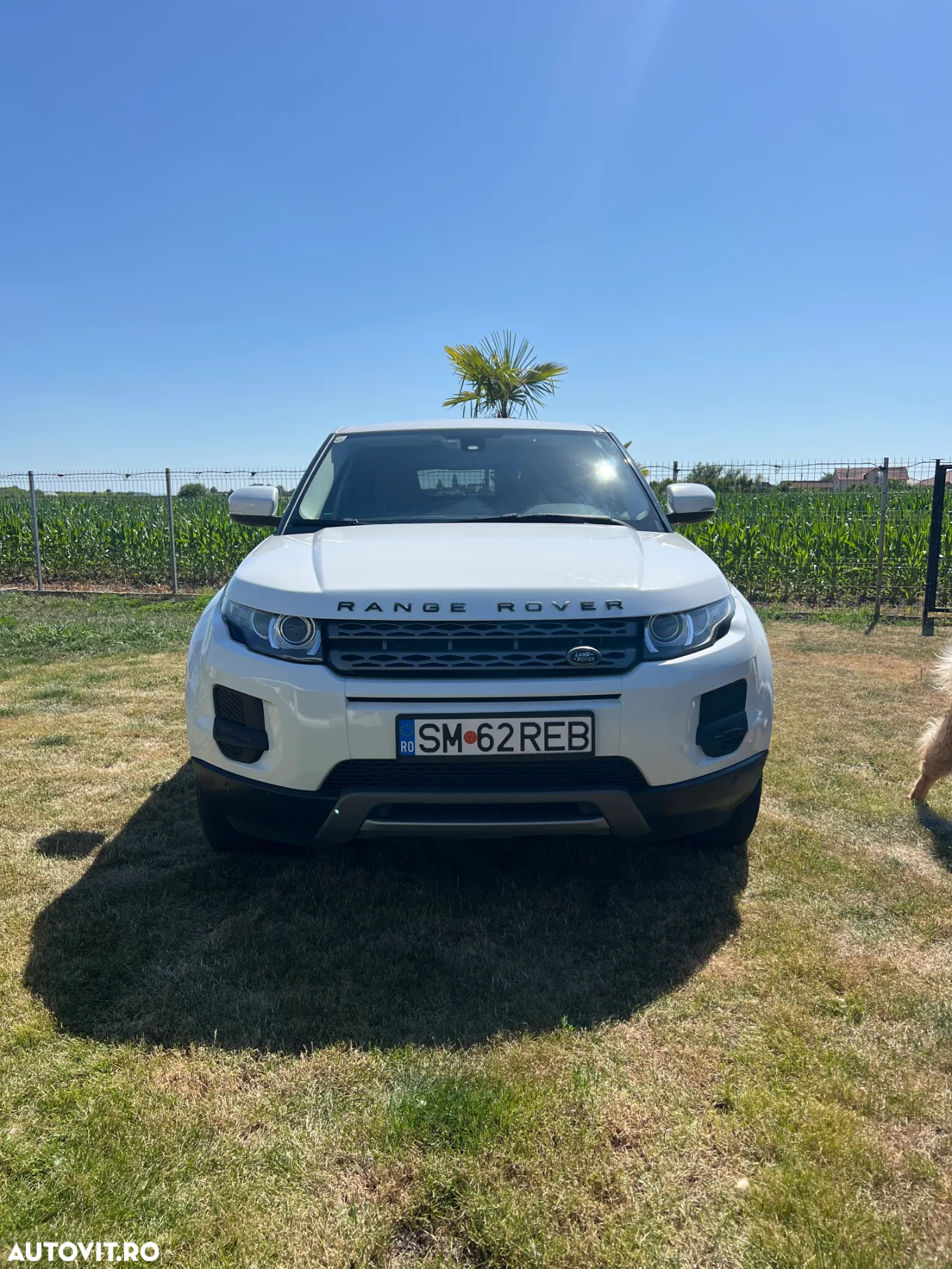 Land Rover Range Rover Evoque - 2
