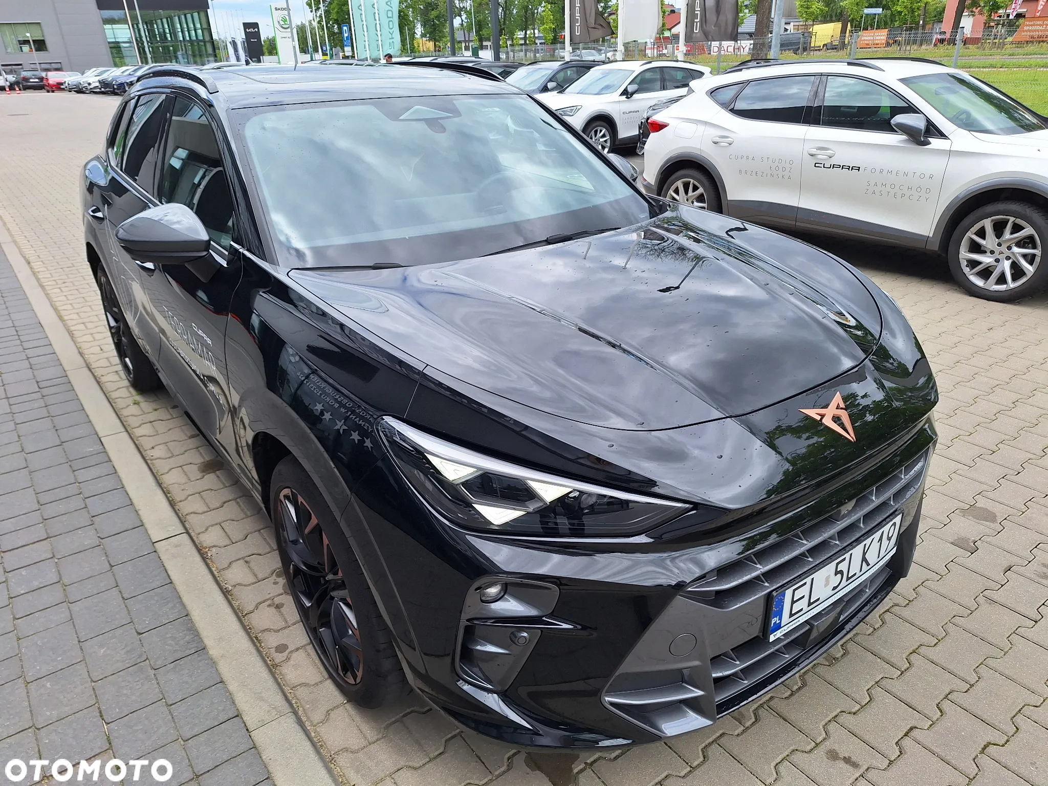 Cupra Terramar - 5