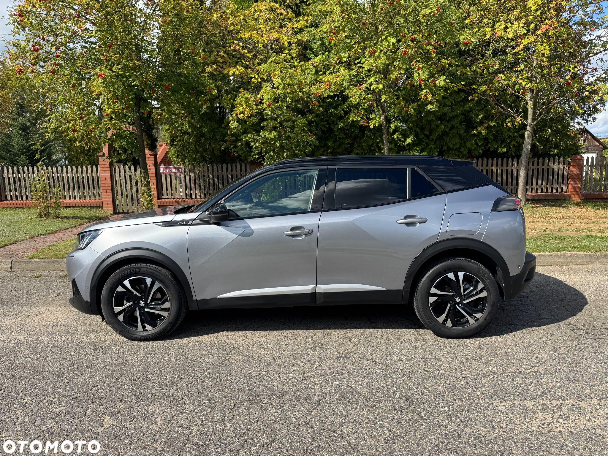 Peugeot 2008 1.5 BlueHDi GT Line S&S EAT8 - 6