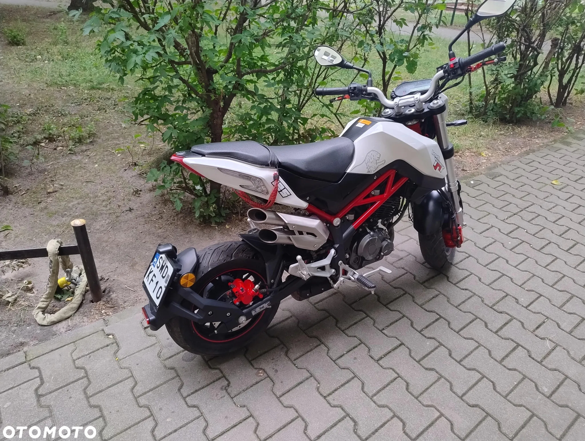 Benelli Tornado Naked T - 2