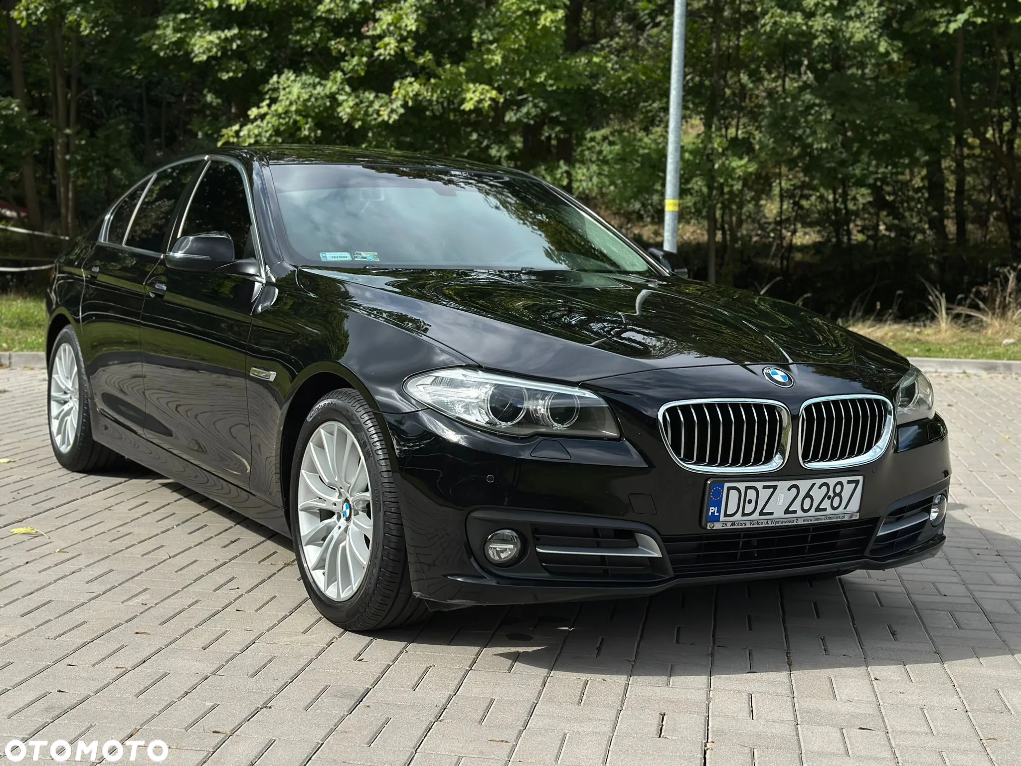 BMW Seria 5 520i Luxury Line - 7