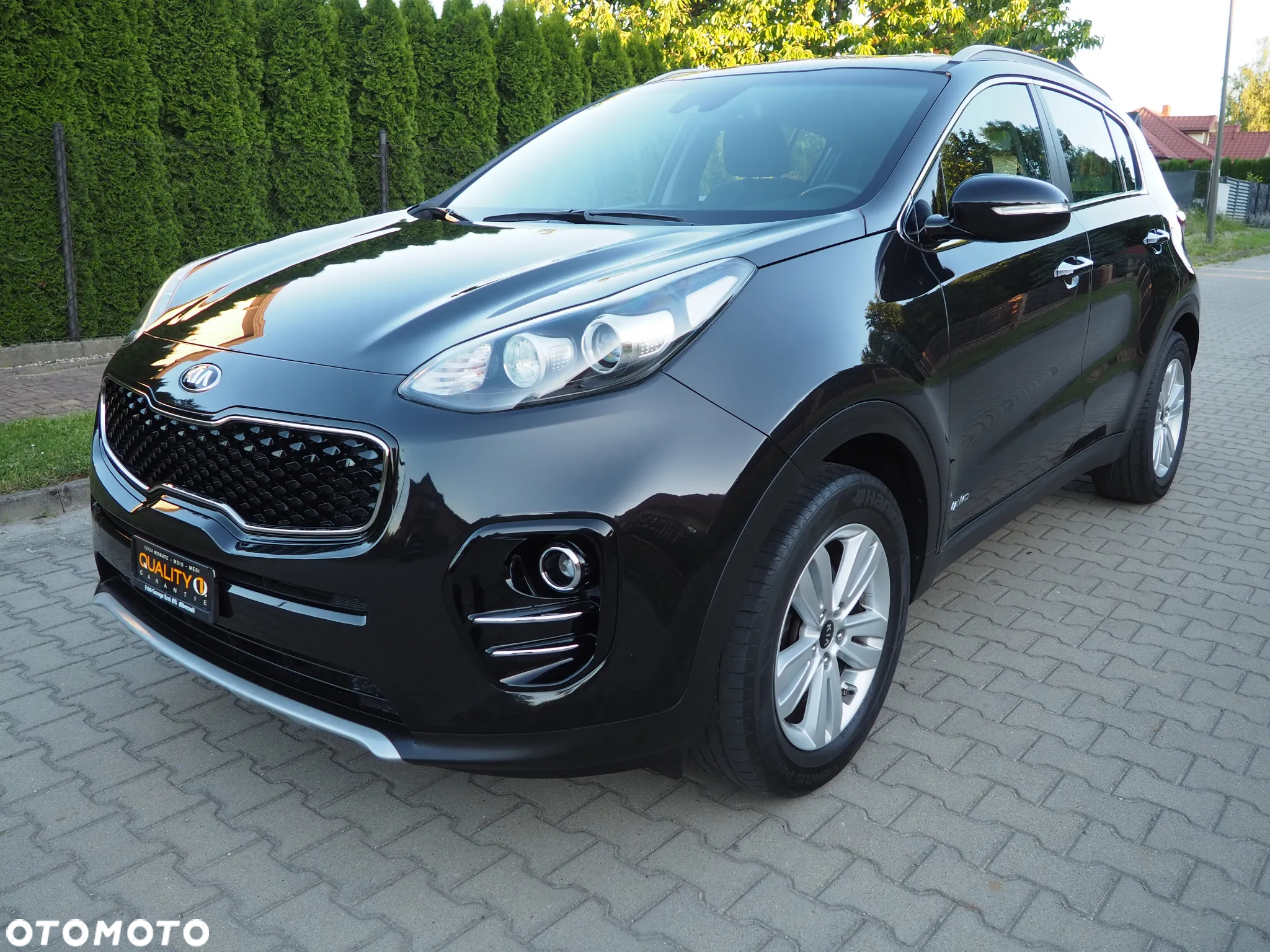 Kia Sportage 1.6 T-GDI Business Line 4WD - 4