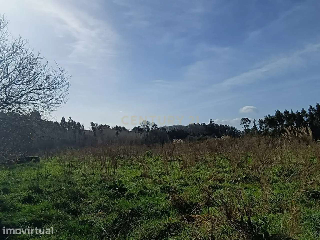 Terreno Agrícola à Venda em Mamarrosa - 9160m² - Grande imagem: 2/6