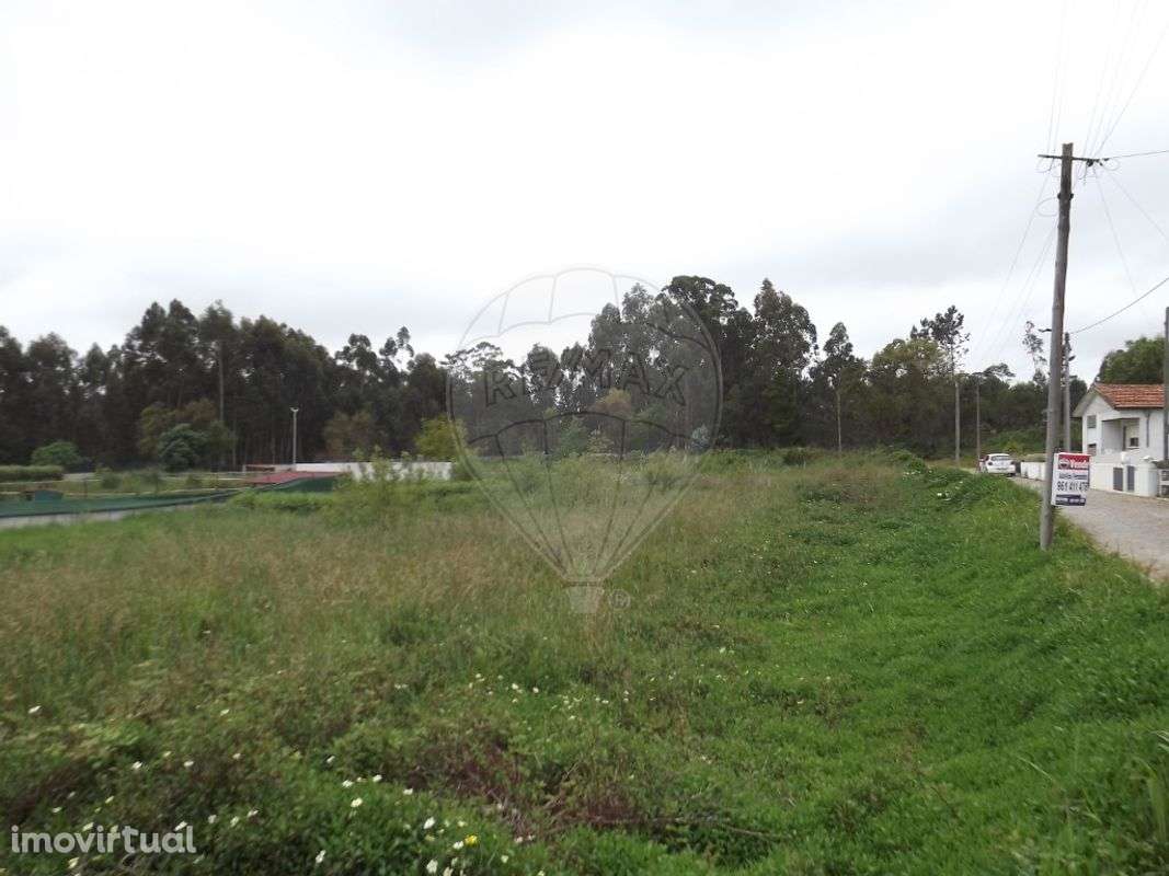 Terreno  para Venda - Grande imagem: 5/5