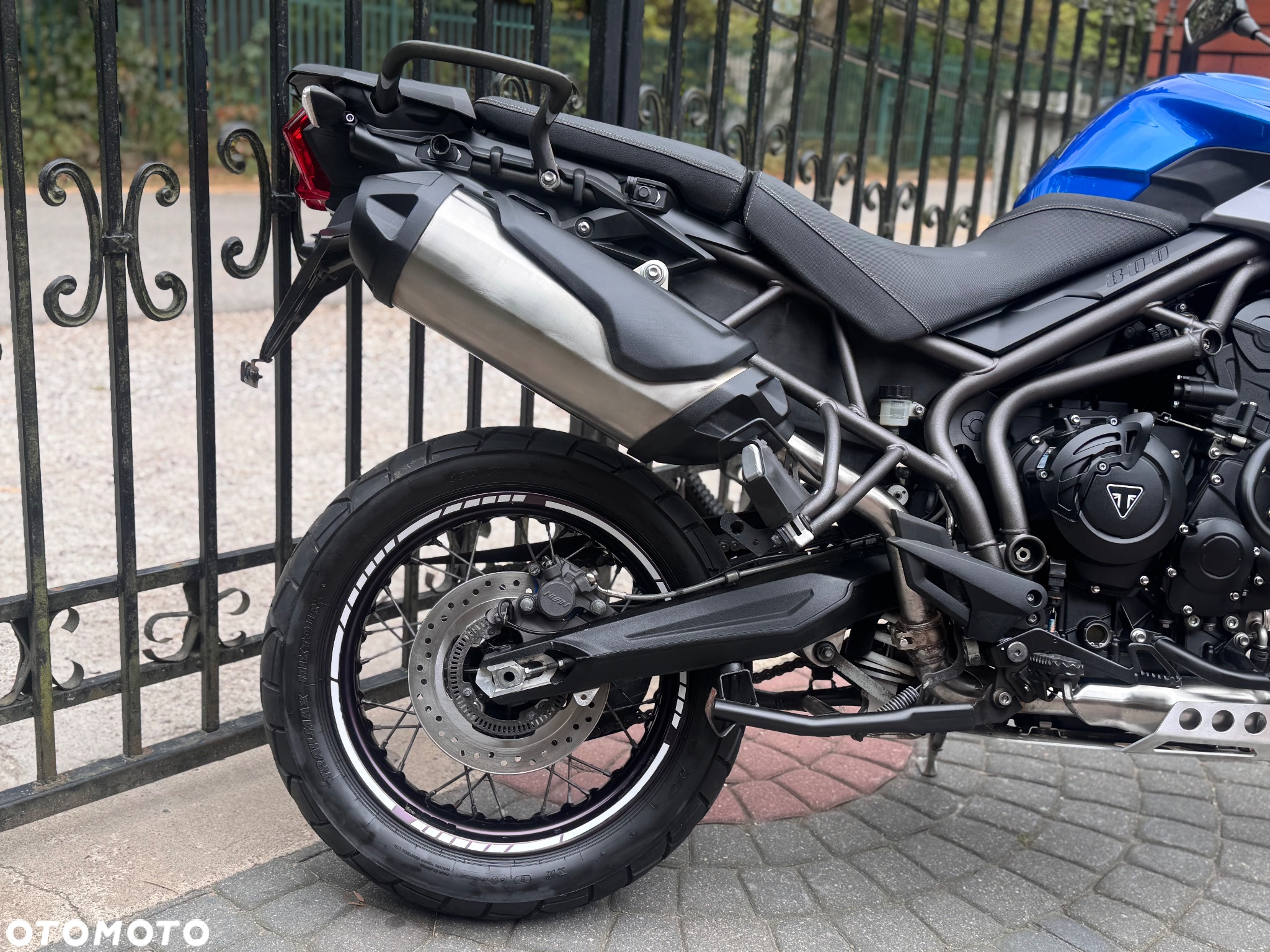 Triumph Tiger - 9