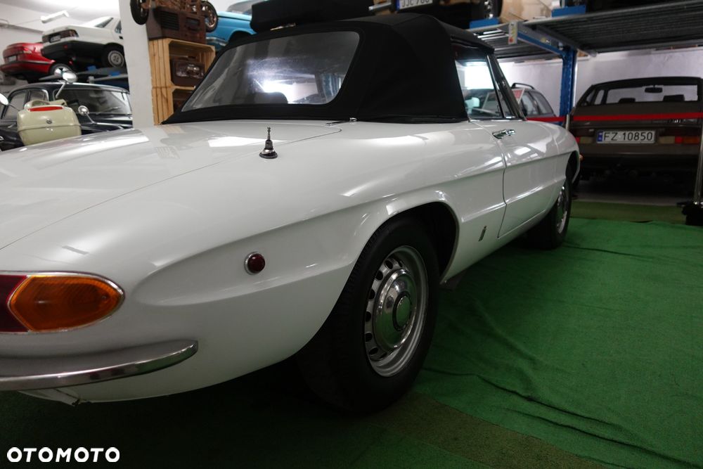 Alfa Romeo Spider - 30