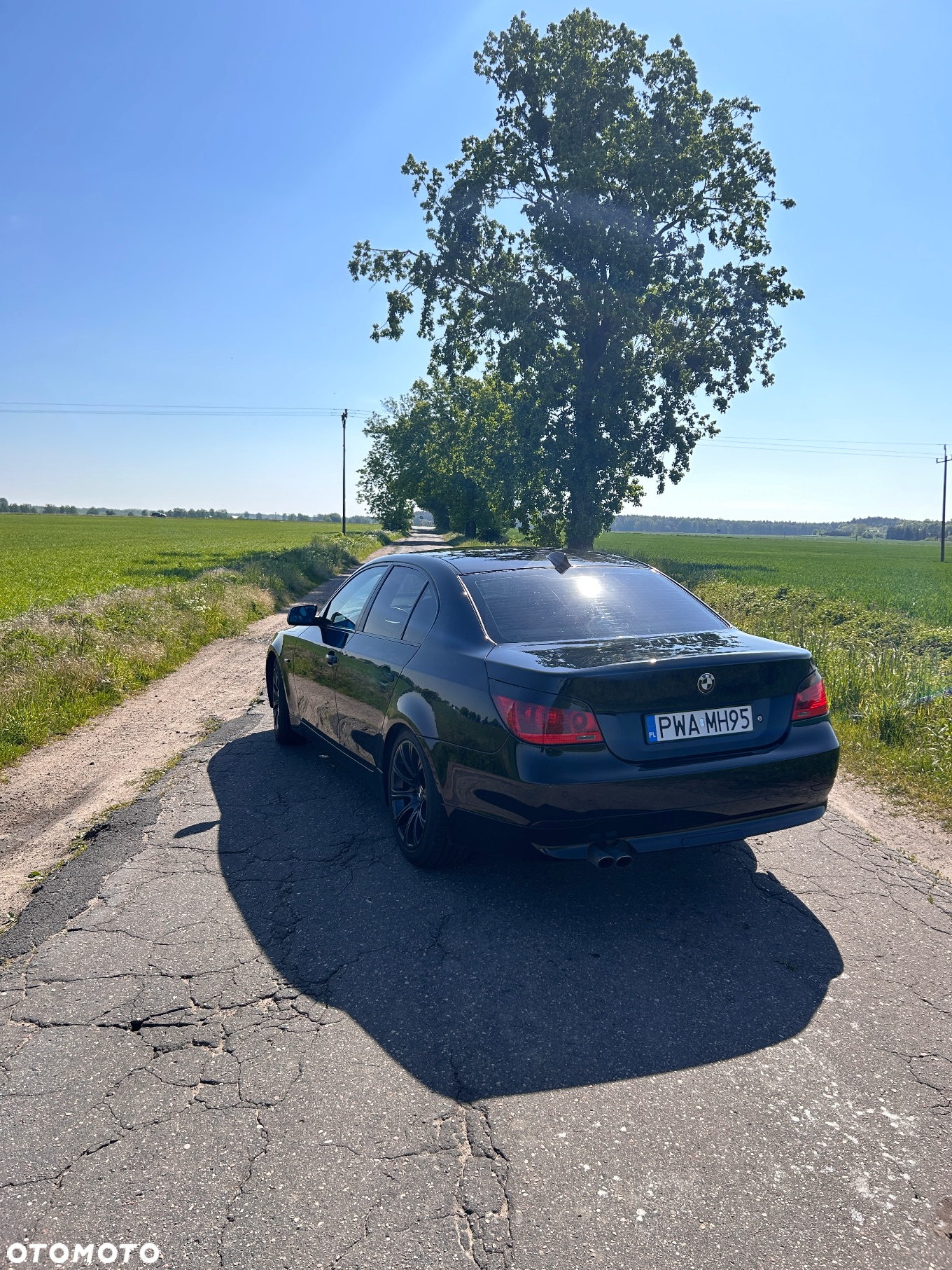 BMW Seria 5 - 5