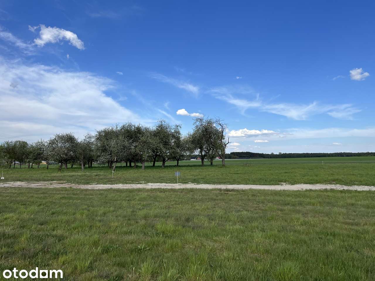 Działka budowlana 1000m² w pięknej okolicy Cielętniki - Pełny obrazek: 4/8