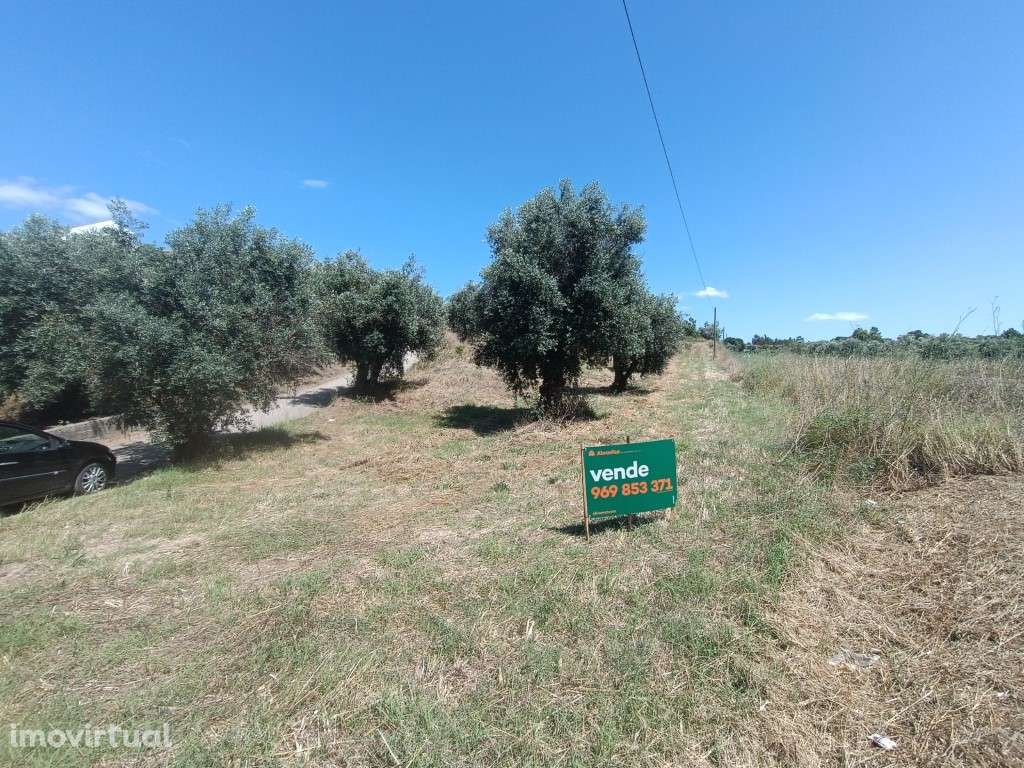 Terreno para construção - Grande imagem: 4/6