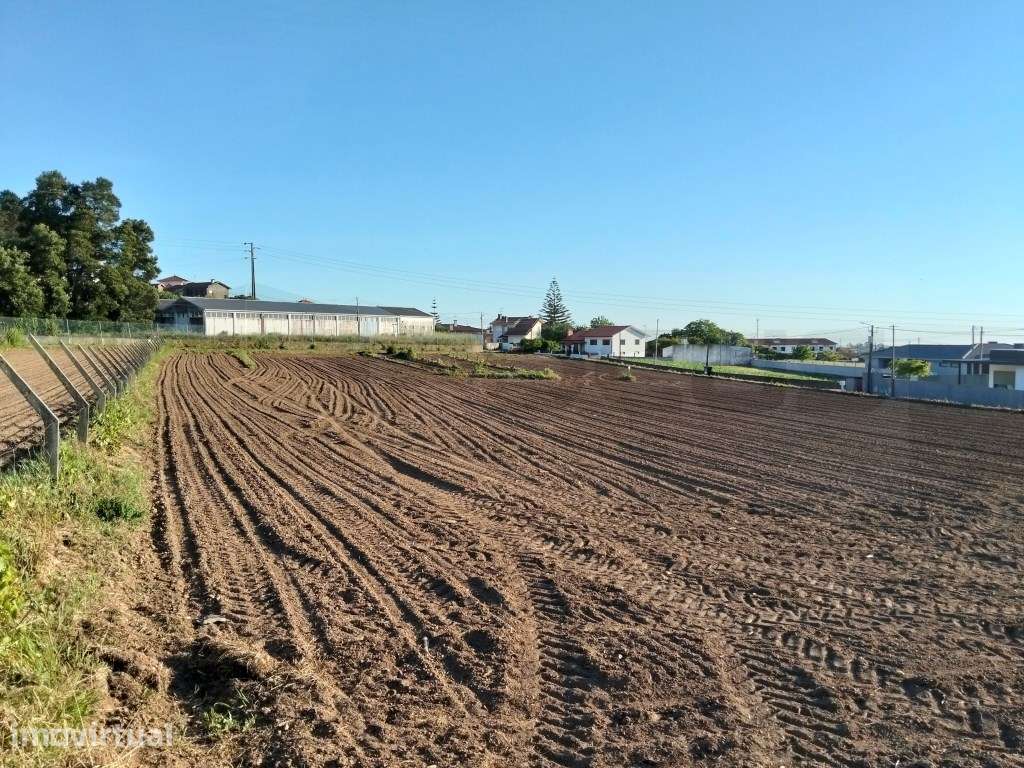 Terreno urbanizável com 19 m de frente- Branca / Albergaria-a-Velha - Grande imagem: 3/14