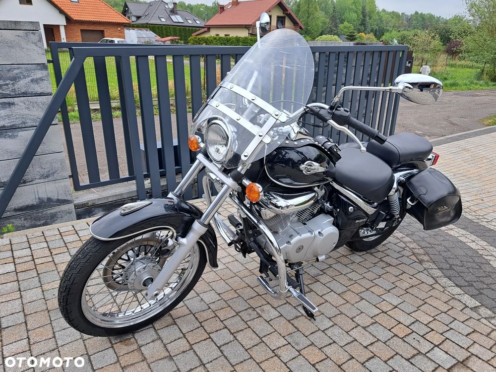 Suzuki Intruder - 10