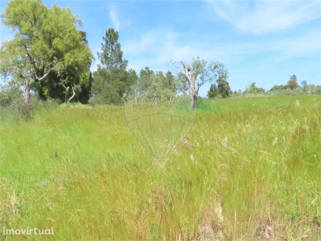 Quinta  para venda - Grande imagem: 5/12