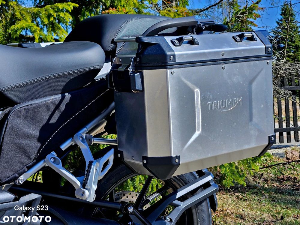 Triumph Tiger - 13