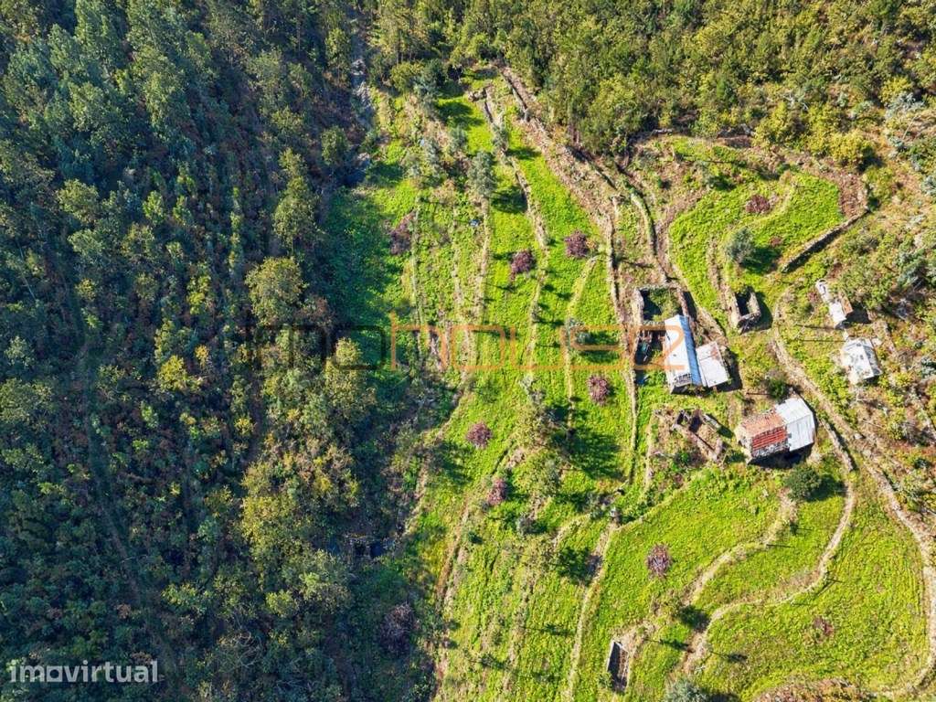 Quinta Isolada com Margem de Rio e Potencial de Eco-Retiro - Arouca - Grande imagem: 5/47