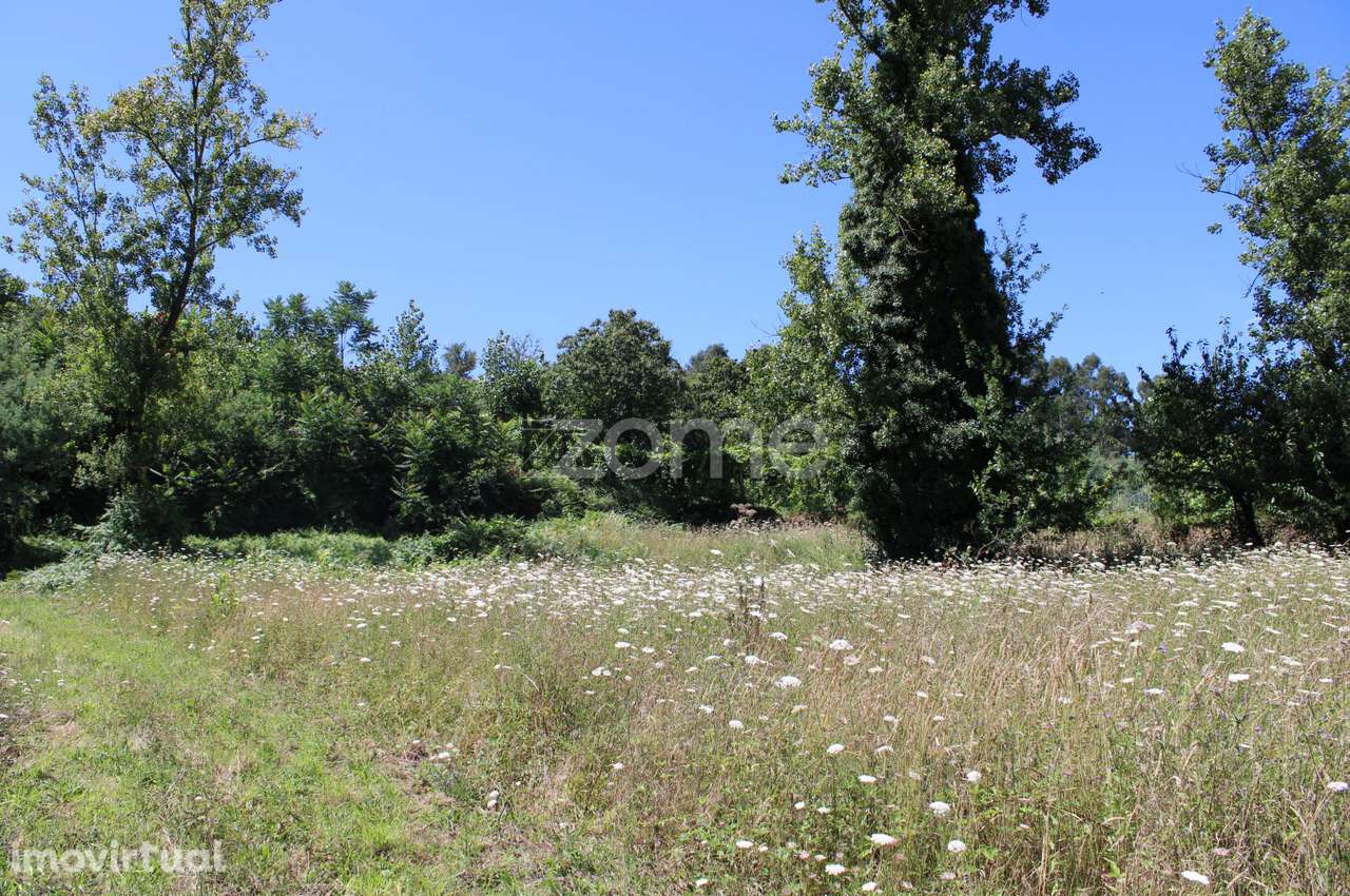 Terreno para venda em Infantas - Grande imagem: 5/15
