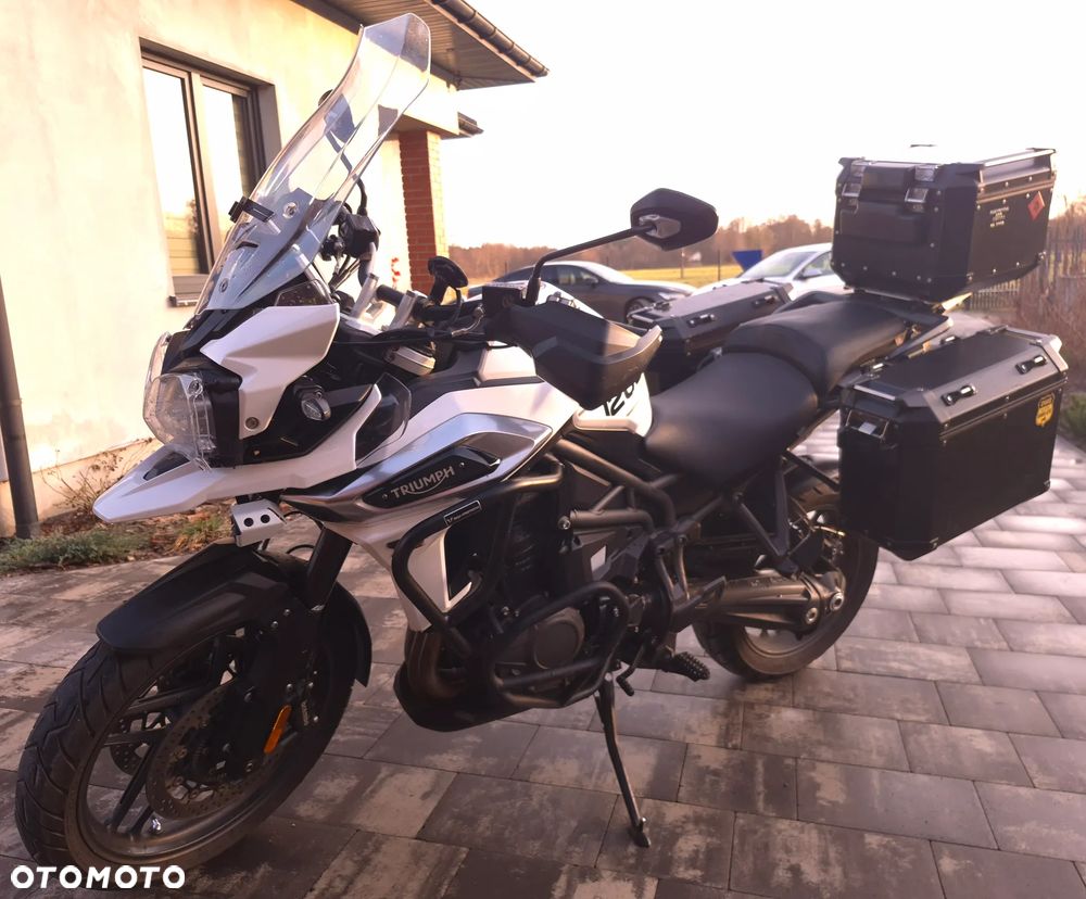 Triumph Tiger - 3