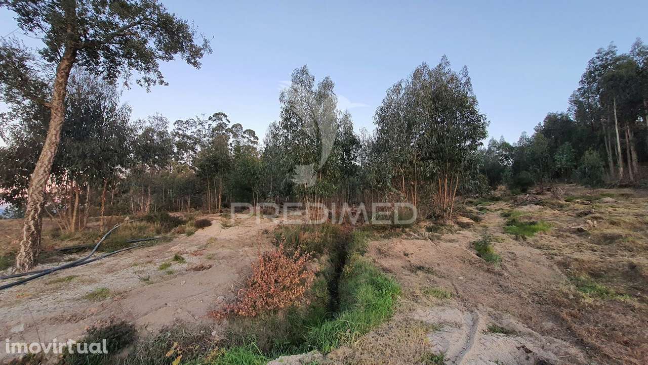 Terreno - Grande imagem: 3/5