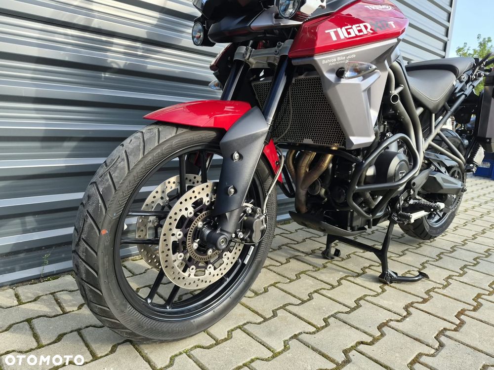 Triumph Tiger - 15