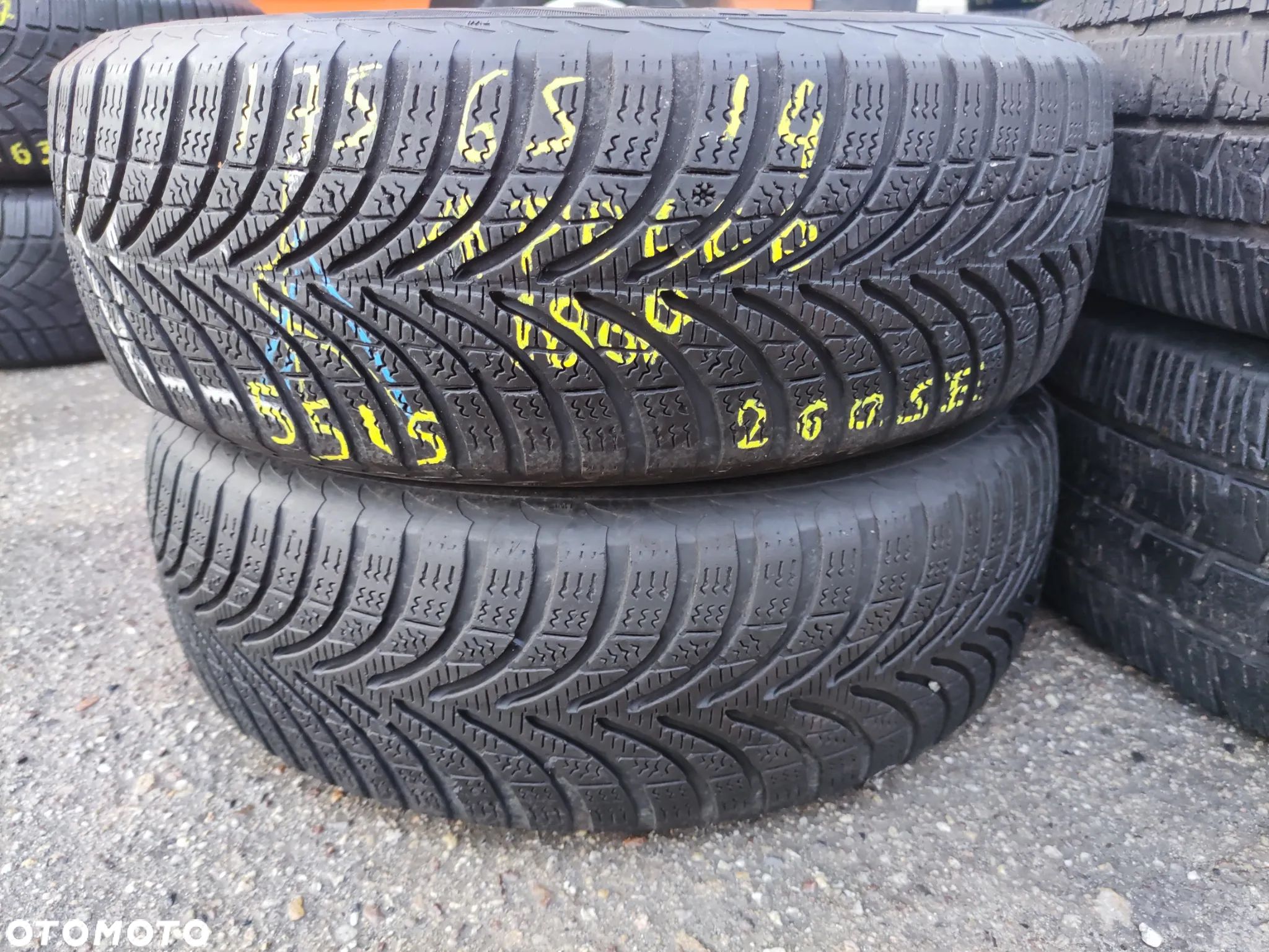 175/65R14 Opony Zimowe Zima Apollo Alnac 4g Winter Legnica ALU-RAD 175/65 5,5mm - 1