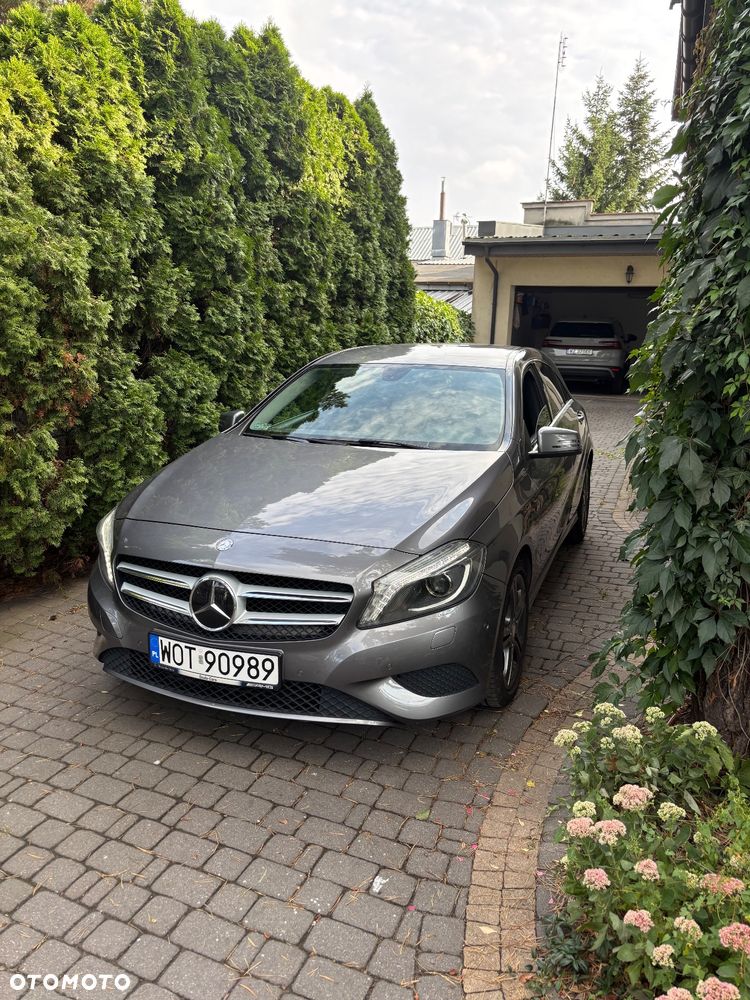 Mercedes-Benz Klasa A 200 CDI 4-Matic - 2