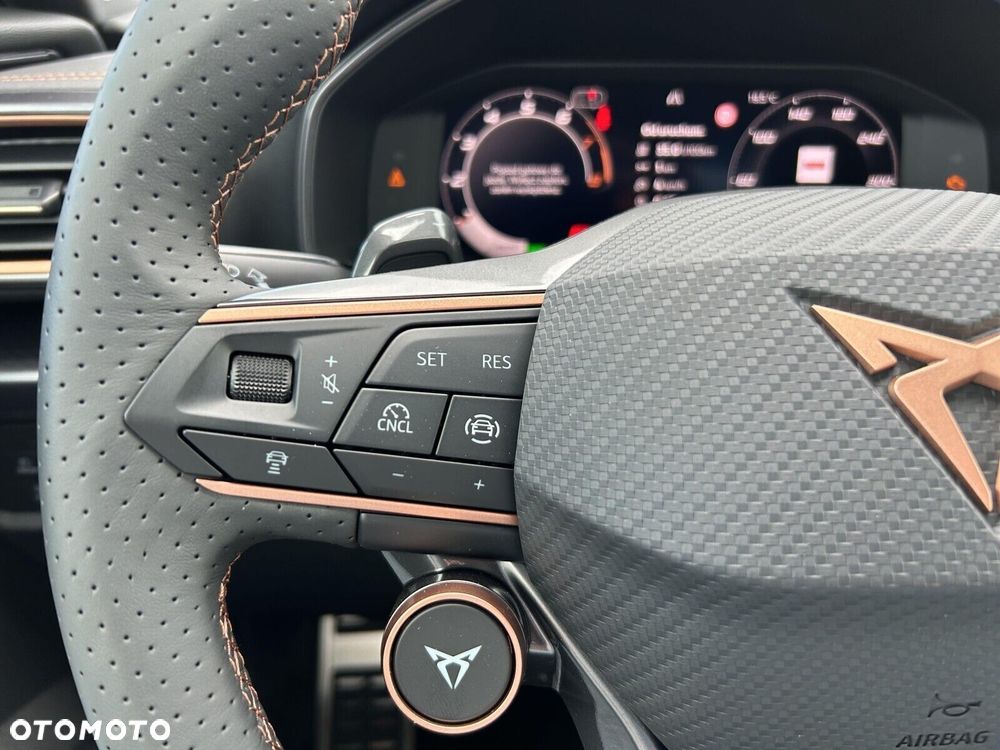 Cupra Formentor 2.0 TSI 4Drive DSG - 16