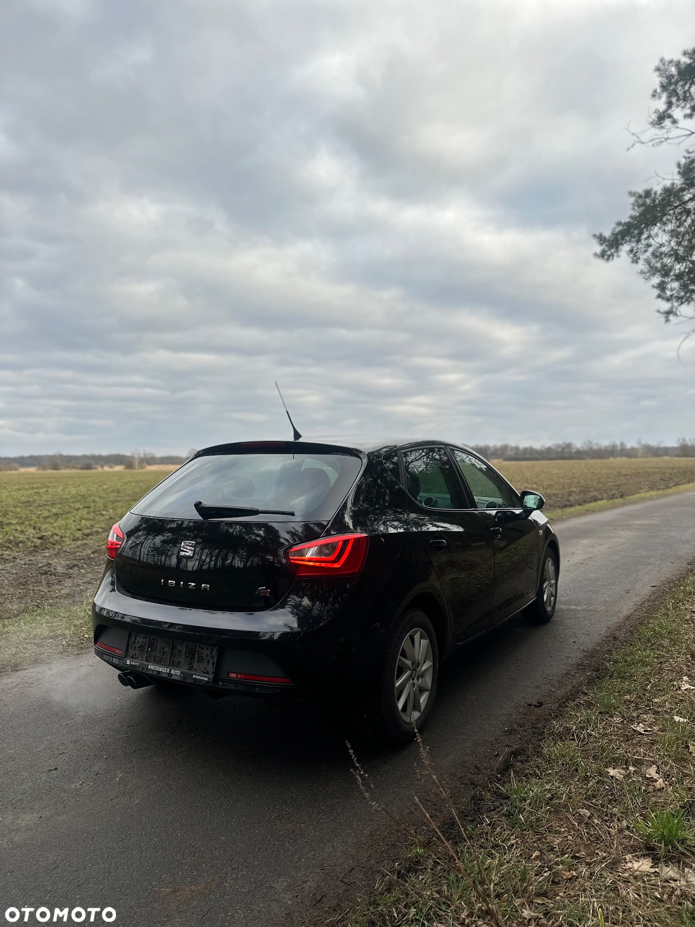 Seat Ibiza 1.2 TSI FR - 6