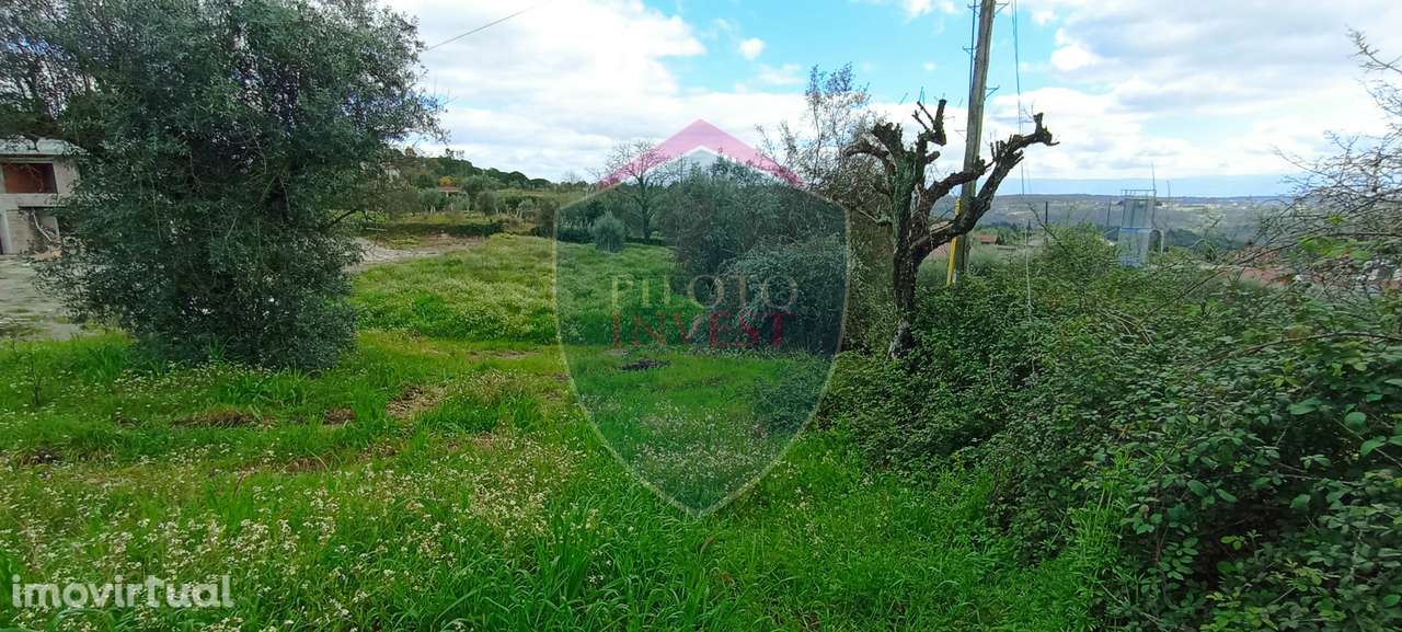 Lote de Terreno  Venda em São João de Lourosa,Viseu - Grande imagem: 2/6
