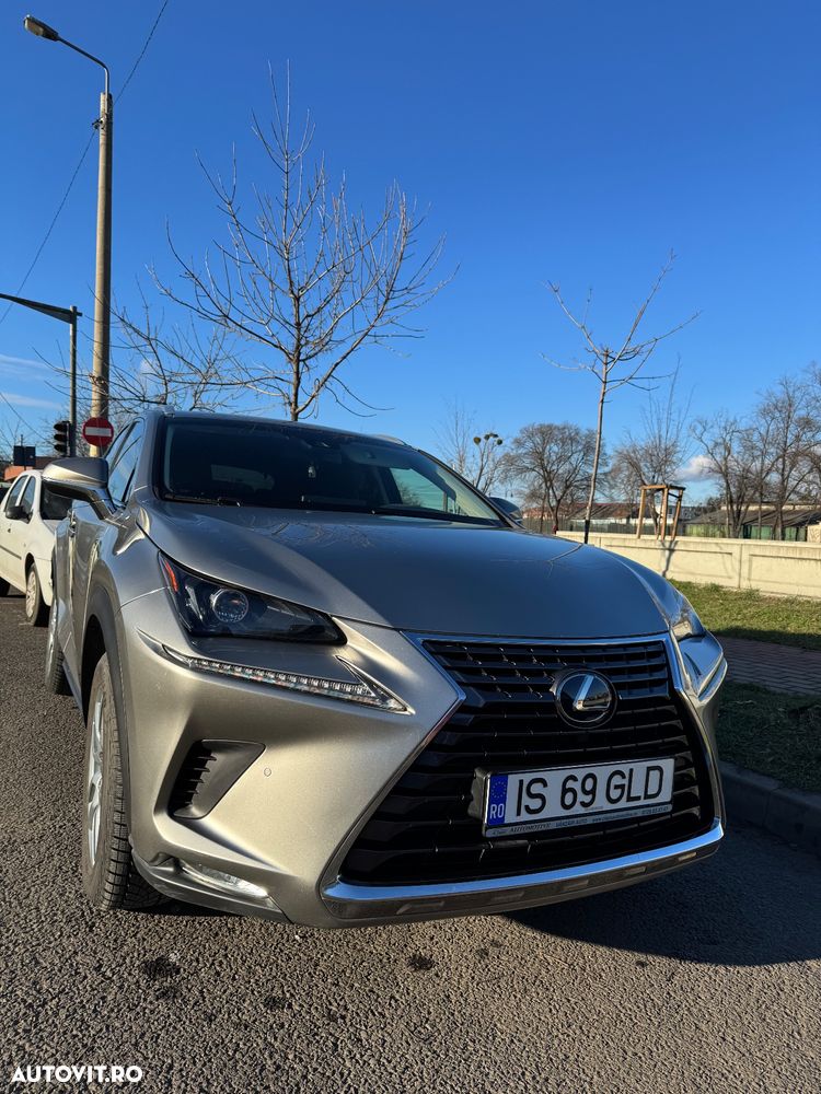 Lexus Seria NX 300 AWD Business - 2